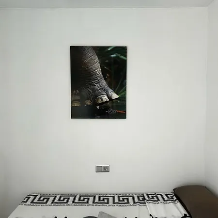 Piso Lloret يوريت دي مار